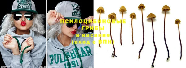 ГАЛЛЮЦИНОГЕННЫЕ ГРИБЫ Козловка