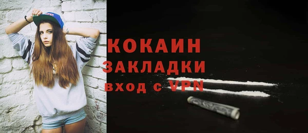 ГАЛЛЮЦИНОГЕННЫЕ ГРИБЫ Козловка