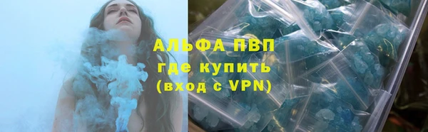 ГАЛЛЮЦИНОГЕННЫЕ ГРИБЫ Козловка