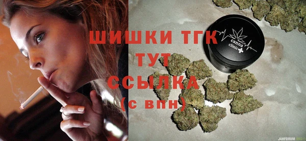 ГАЛЛЮЦИНОГЕННЫЕ ГРИБЫ Козловка