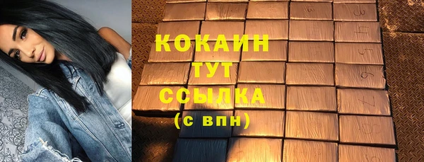 ГАЛЛЮЦИНОГЕННЫЕ ГРИБЫ Козловка