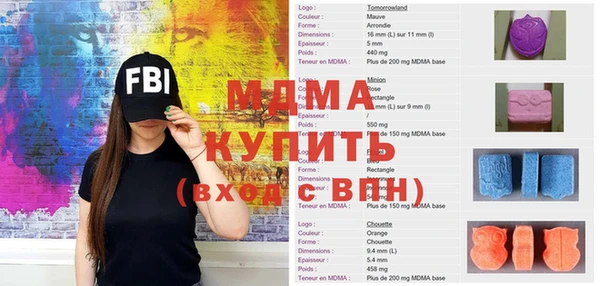 ГАЛЛЮЦИНОГЕННЫЕ ГРИБЫ Козловка