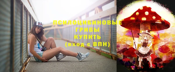 МДПВ Козельск