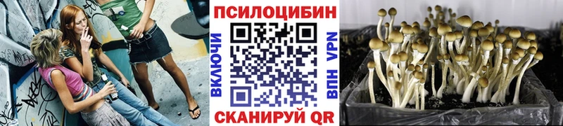 Галлюциногенные грибы ЛСД  Пласт 